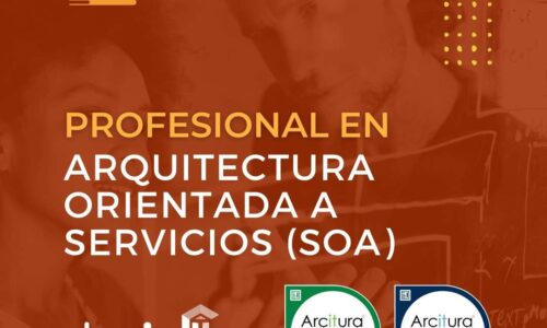 Profesional de SOA [ELI]