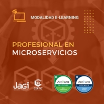 profesional en microservicios