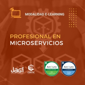 profesional en microservicios