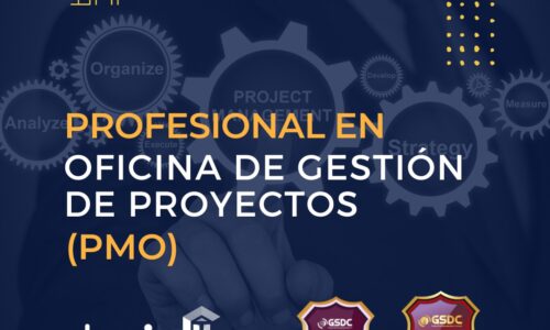 Profesional en Oficina de Gestión de Proyectos -PMO [OD]